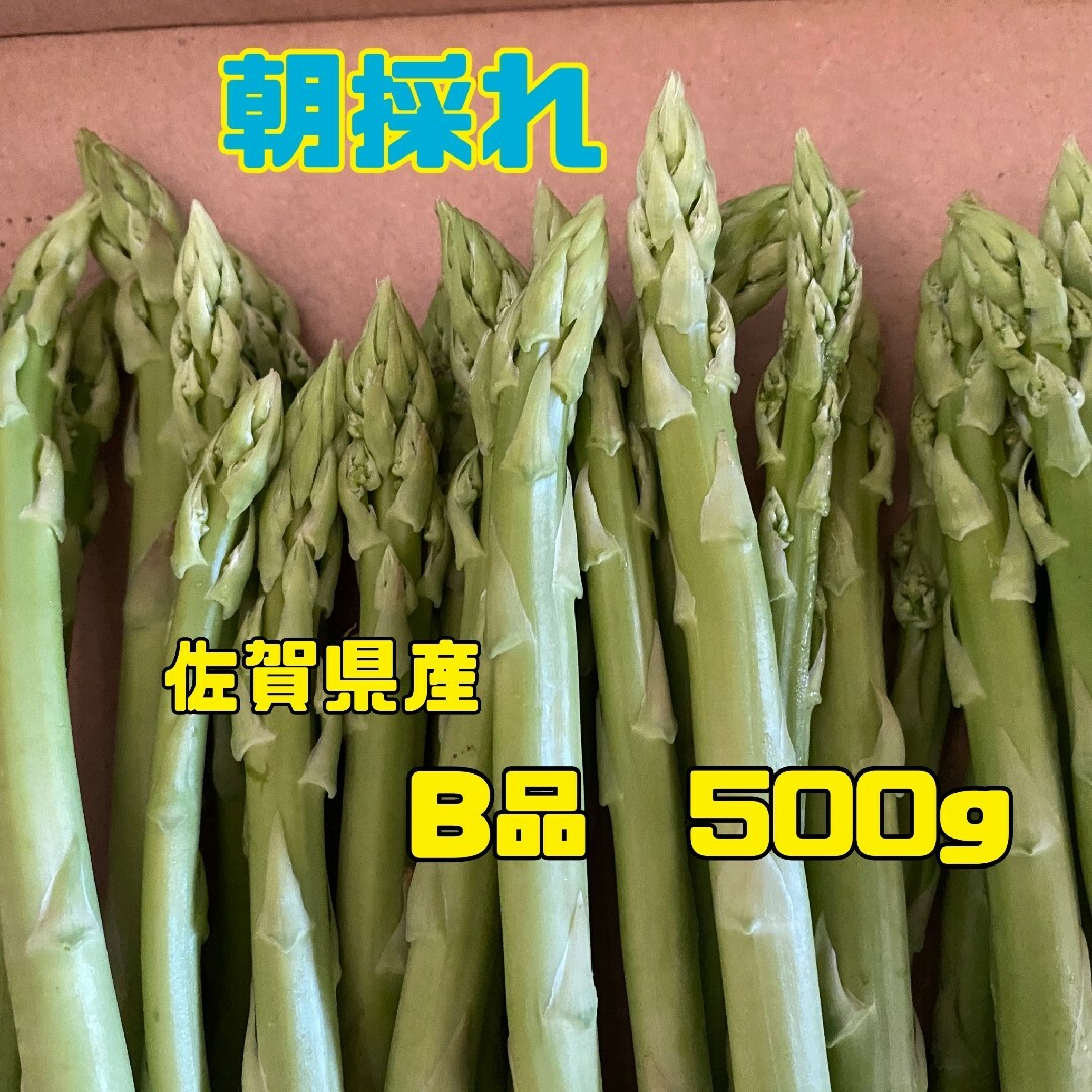 訳あり　グリーンアスパラガス500g 食品/飲料/酒の食品(野菜)の商品写真