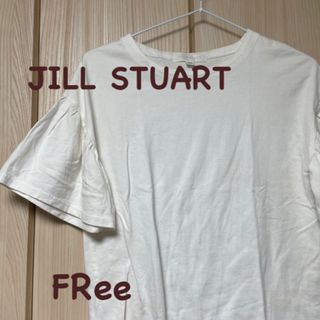 【古着】JILL STUART 半袖シャツ　レディース　Free(Tシャツ(半袖/袖なし))