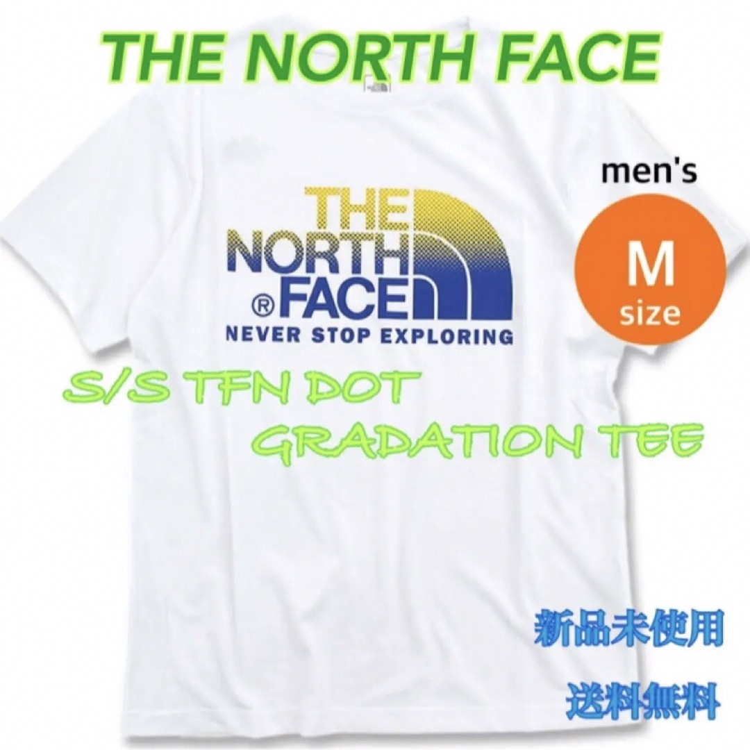 the north face Dot Gradation S/S Tee 新品