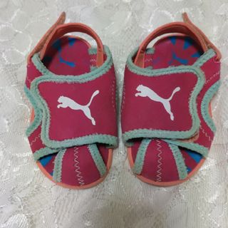 プーマ(PUMA)のサンダル16㎝　ウォーターシューズ16㎝(サンダル)