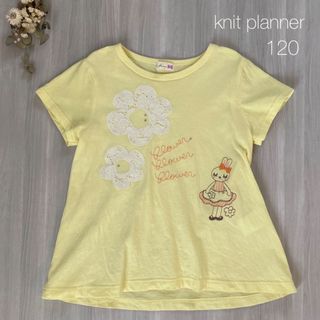 ニットプランナー(KP)の【美品】ニットプランナー  ミミちゃんTシャツ　カットソー(Tシャツ/カットソー)