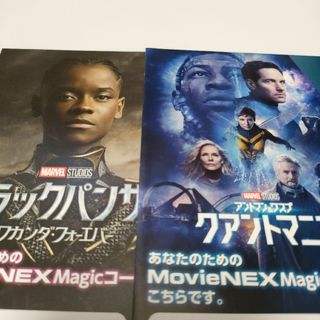 マーベル(MARVEL)のアントマン&ワスプ:クアントマニア/ブラックパンサー ワカンダ・フォーエバー(外国映画)