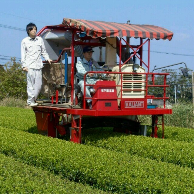 お徳用　和紅茶　無農薬　有機栽培　オーガニック 食品/飲料/酒の飲料(茶)の商品写真