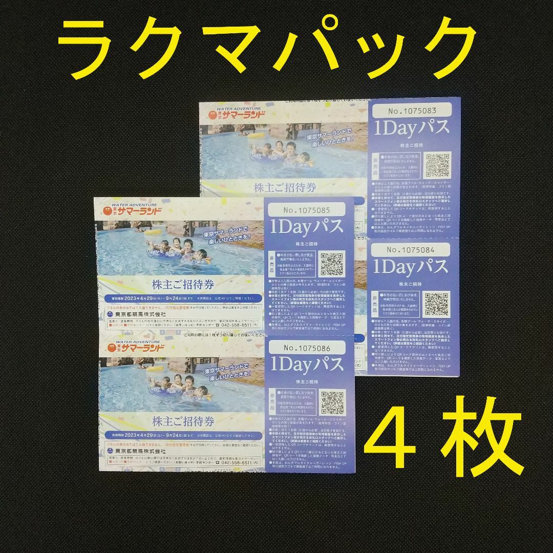 サマーランド　1Dayパス【4枚】