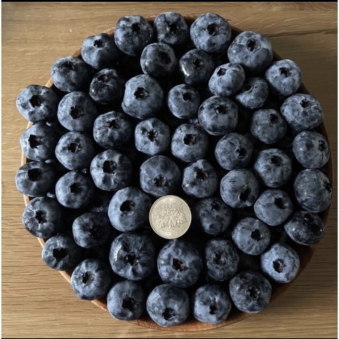 北海道産 冷凍ブルーベリー 無農薬 1kg 送料込 フルーツ ふるさと 果物