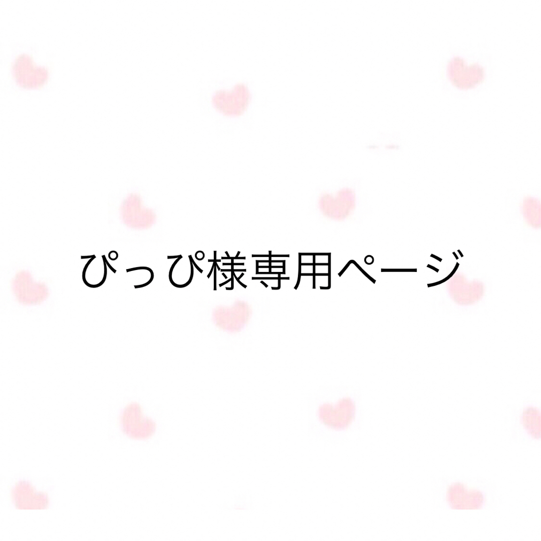 ぴっぴ様専用ページ