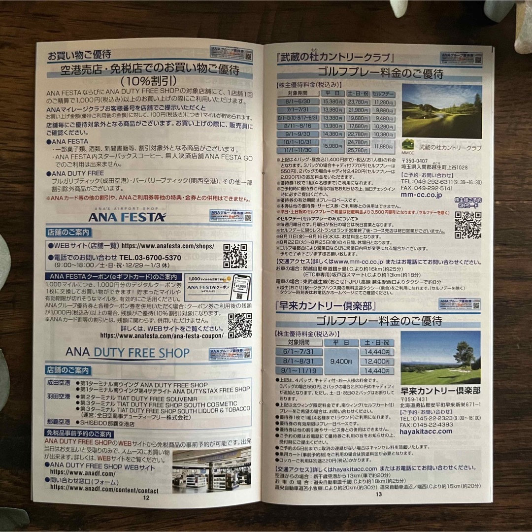 【ANA優待】2枚＋冊子 チケットの優待券/割引券(その他)の商品写真