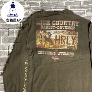 ハーレー(Hurley)のハーレーダビッドソン☆ロンT ゆるだぼ USA古着希少 ビッグシルエット(Tシャツ/カットソー(七分/長袖))