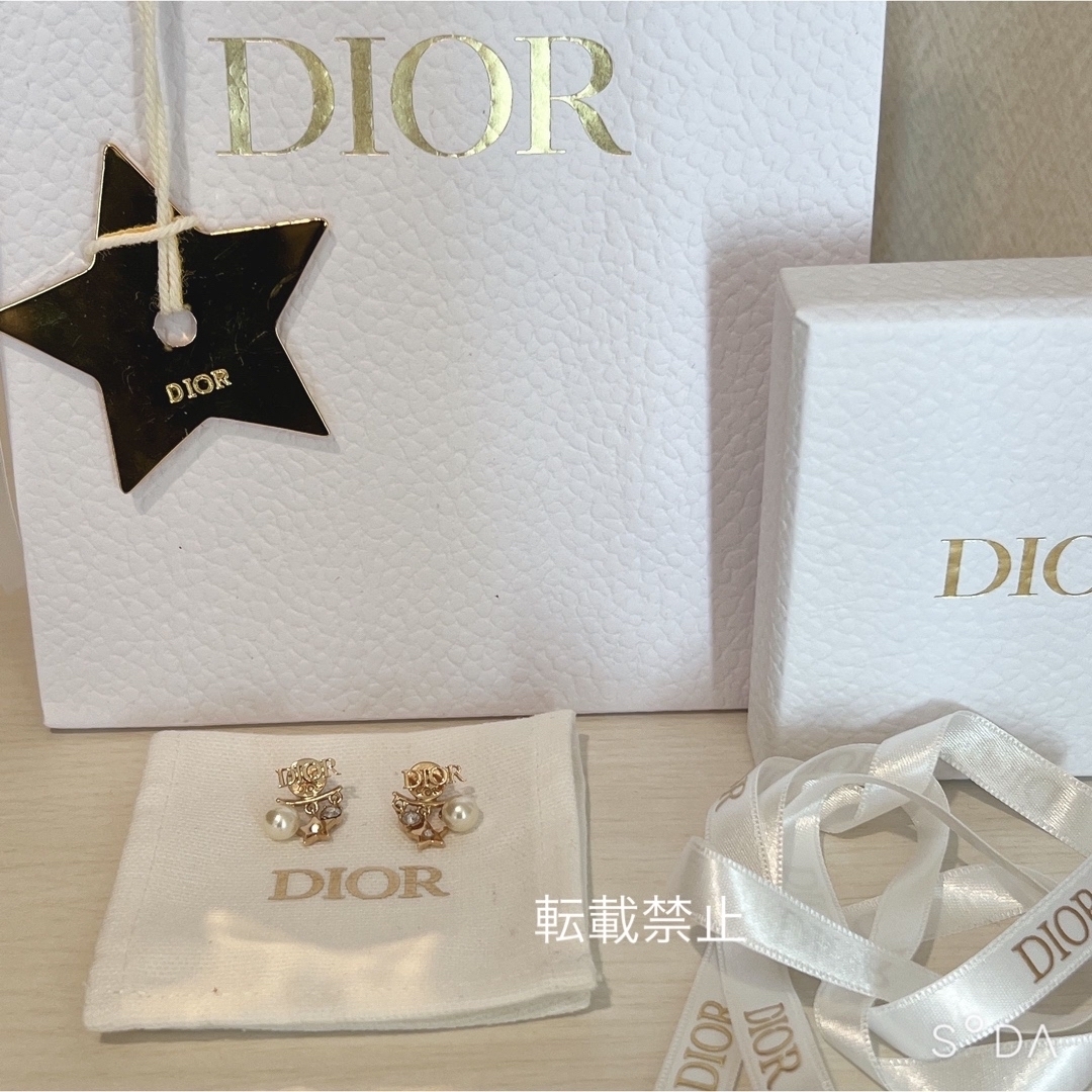 dior ディオール DIO(R)EVOLUTION ピアス | www.innoveering.net