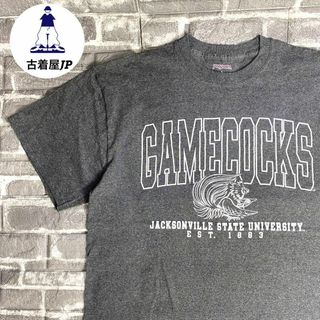 ジャンスポーツ(JANSPORT)のジャンスポーツ☆Tシャツ USA古着 カレッジロゴ 90s ゆるだぼ L(Tシャツ/カットソー(半袖/袖なし))