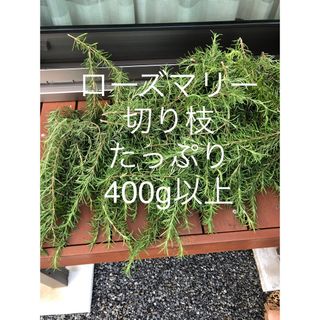 ローズマリー 無農薬 切り枝　匿名配送　400g(リース)