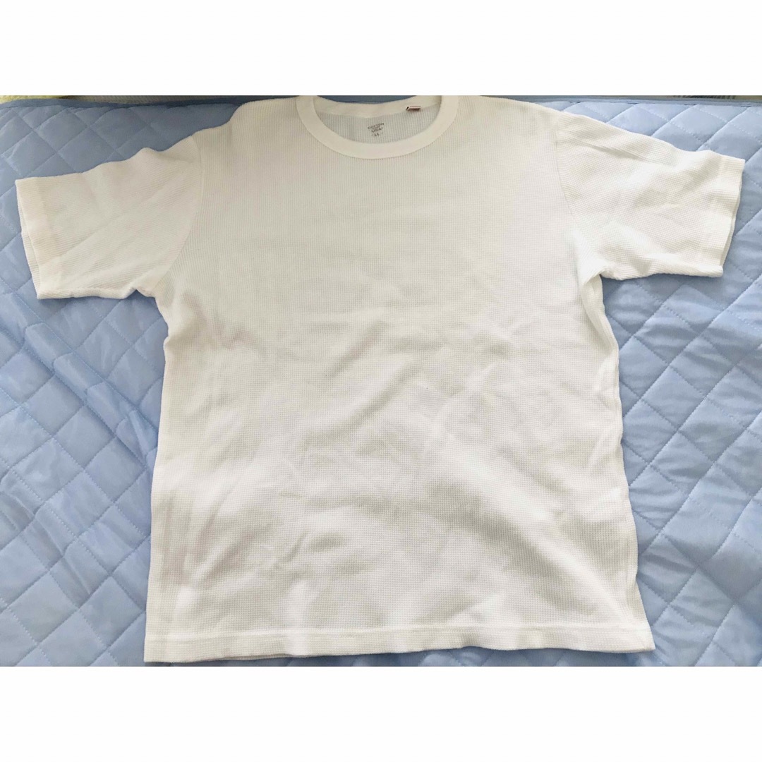 しまむら(シマムラ)のしまむら メンズTシャツ メンズのトップス(Tシャツ/カットソー(半袖/袖なし))の商品写真
