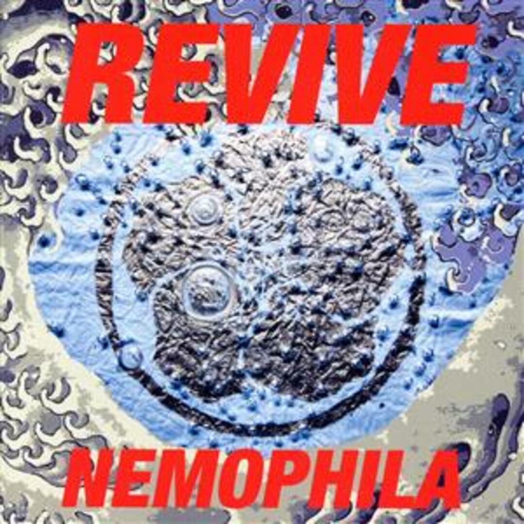 ＲＥＶＩＶＥ（初回限定盤）（ＤＶＤ付）