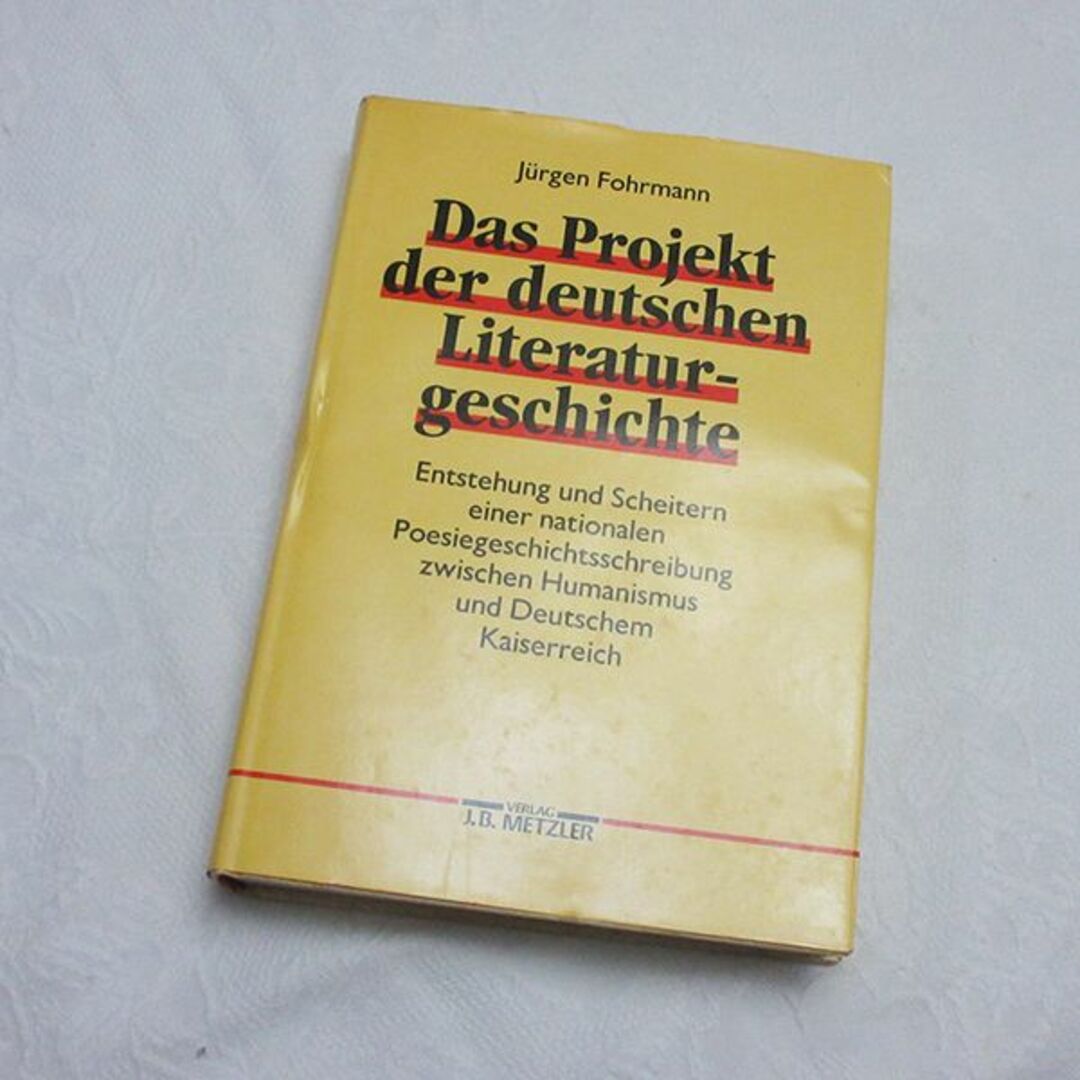 ドイツ文学史 古本 洋書 古書 インテリア ヴィンテージ レトロ エンタメ/ホビーの本(洋書)の商品写真