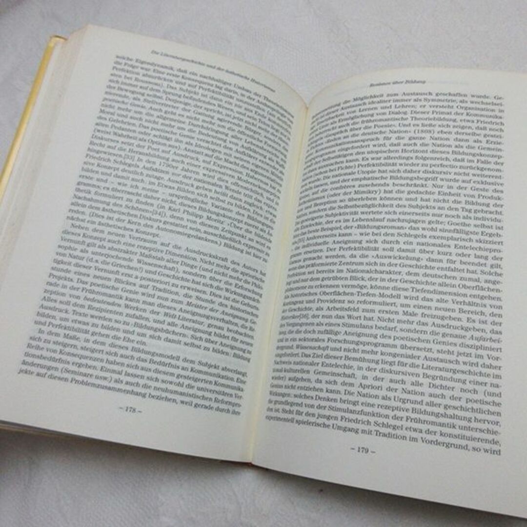 ドイツ文学史 古本 洋書 古書 インテリア ヴィンテージ レトロ エンタメ/ホビーの本(洋書)の商品写真
