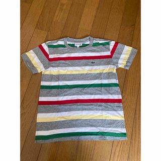 ポロラルフローレン(POLO RALPH LAUREN)のtシャツ(Tシャツ/カットソー)