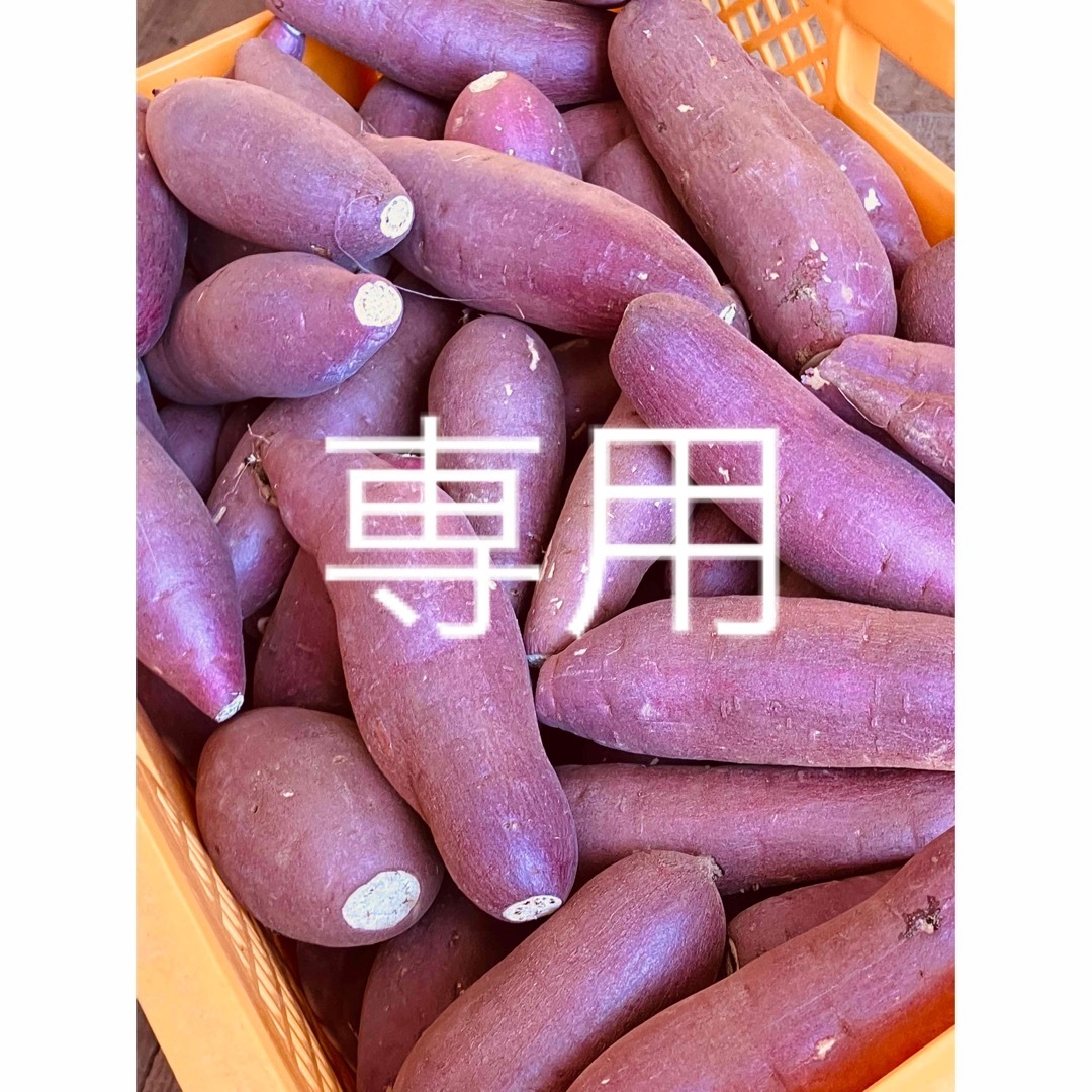 紅ハルカ25kg 食品/飲料/酒の食品(野菜)の商品写真