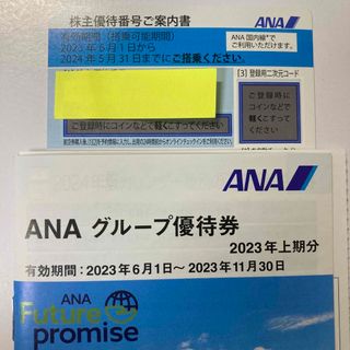 エーエヌエー(ゼンニッポンクウユ)(ANA(全日本空輸))のANA 株主優待券　1枚　冊子付き(航空券)