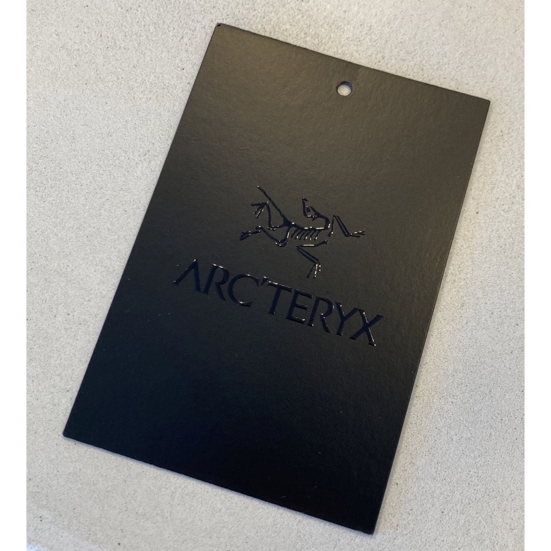 ARC'TERYX(アークテリクス)のARC'TERYX Heliad 12L TOTE ヒリアド ブラック メンズのバッグ(バッグパック/リュック)の商品写真