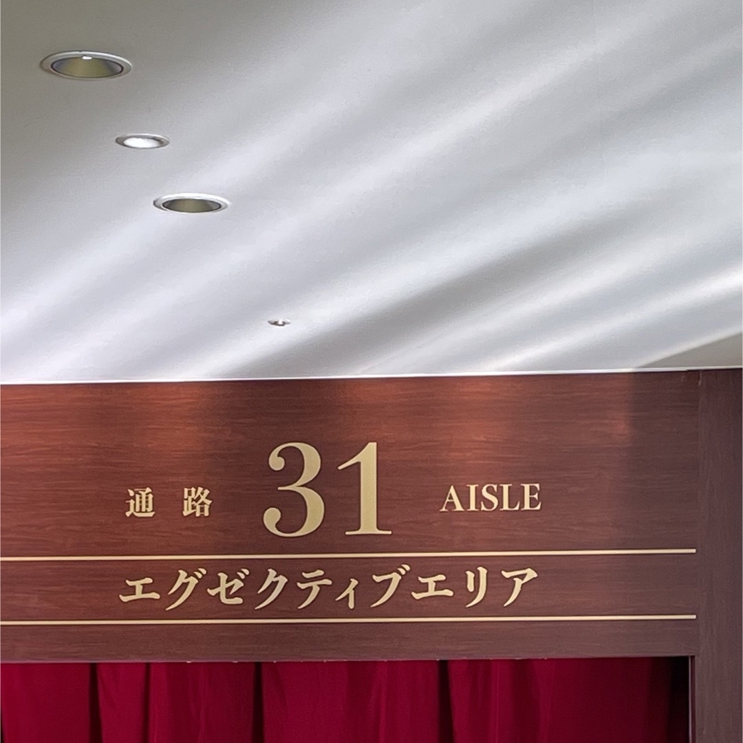 8/25(金)中日×横浜 プラチナシート ペア/1塁側