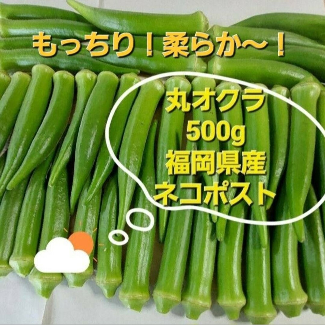 丸オクラ　500g　福岡県産 食品/飲料/酒の食品(野菜)の商品写真