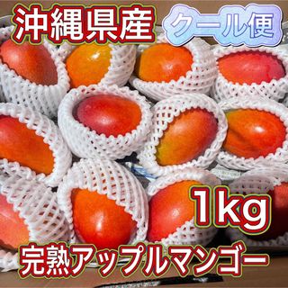 沖縄県 豊見城産 アップルマンゴー 1kg(フルーツ)