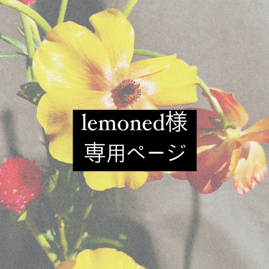 ✴︎lemoned様専用ページ✴︎の通販 by Maru's shop｜ラクマ