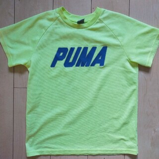 プーマ(PUMA)のPUMA　スポーツドライTシャツ(Tシャツ/カットソー)