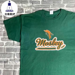 ジャージーズ(JERZEES)のジャージーズ☆Tシャツ USA古着 ゆるだぼ ドルフィン 希少 90s(Tシャツ/カットソー(半袖/袖なし))