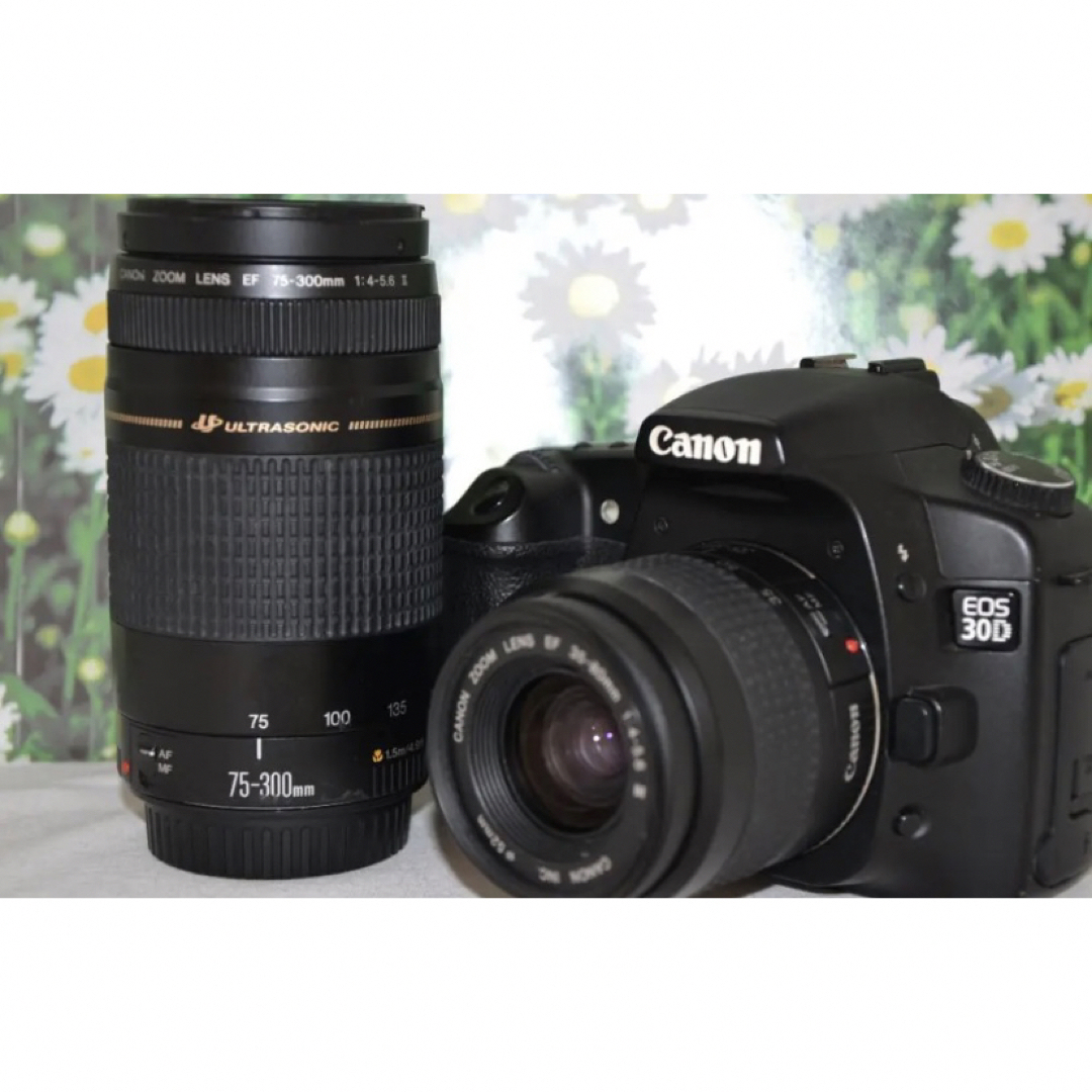 ❤Canon Eos 30D❤キャノン デジタル一眼レフ❤ダブルレンズ❤望遠