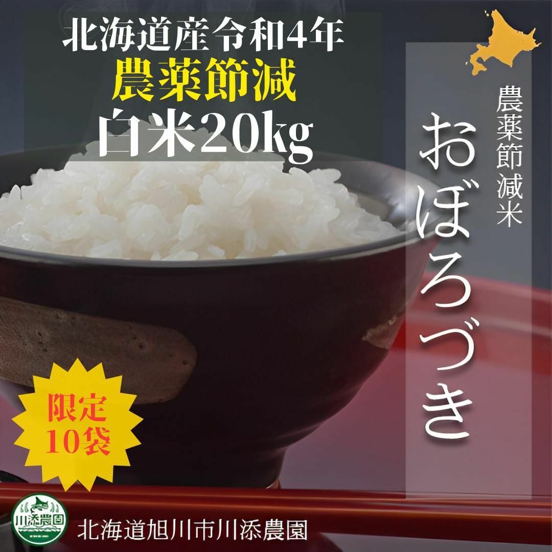 ✨北海道産　白米　by　20キロ　おぼろづき✨ー北海道米,お米,令和4年,2022年の通販　Boｗショップ｜ラクマ