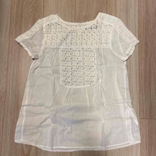 ザラ(ZARA)のZARA レース　トップス　xs(シャツ/ブラウス(半袖/袖なし))