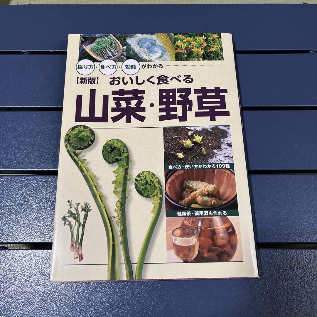 おいしく食べる山菜・野草 採り方・食べ方・効能がわかる 新版 エンタメ/ホビーの本(料理/グルメ)の商品写真