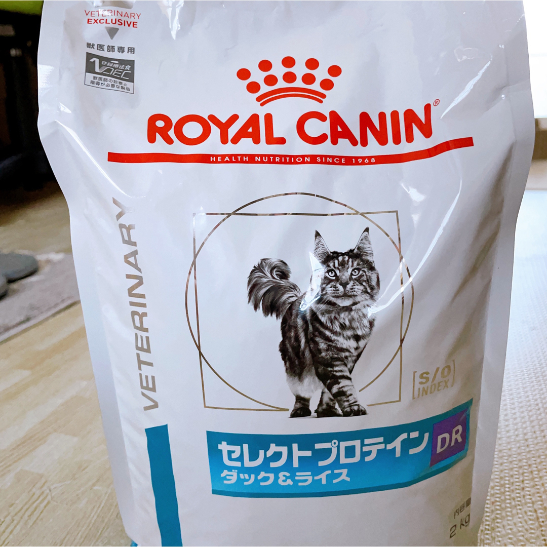 (お試し)ロイヤルカナン 食事療法食 猫用 低分子プロテイン ドライ 2kg | フリマアプリ ラクマ