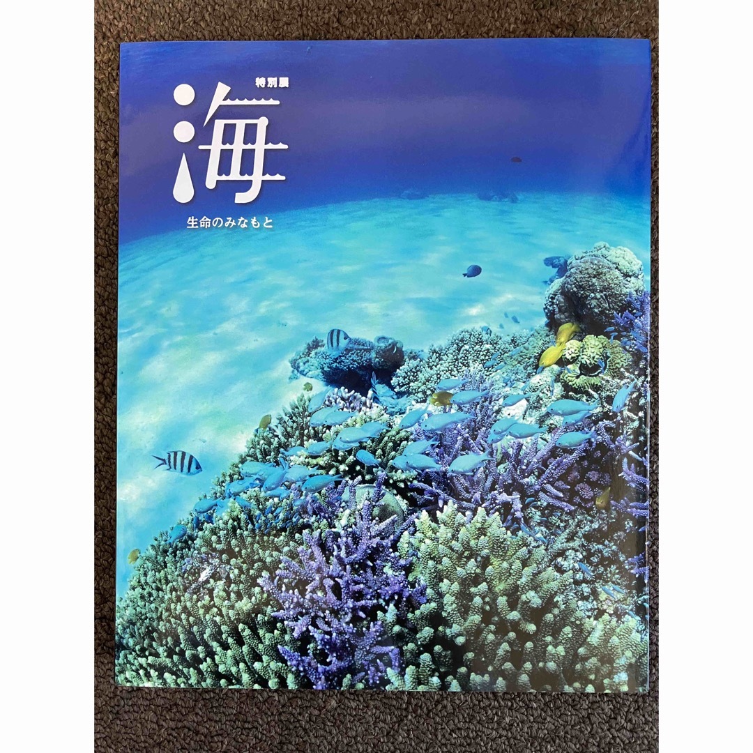 国立科学博物館　特別展「海　―生命のみなもと―」公式図録