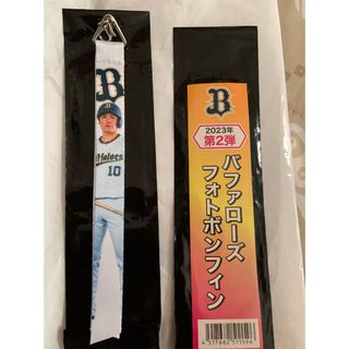 オリックスバファローズ(オリックス・バファローズ)のバファローズ　フォトボンフィン　大城選手(記念品/関連グッズ)