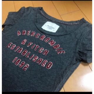 アバクロンビーアンドフィッチ(Abercrombie&Fitch)のアバクロダークグレーコットンT(Tシャツ(半袖/袖なし))