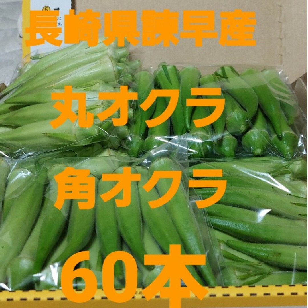 長崎県諫早産角オクラ＆丸オクラ詰め合わせ 食品/飲料/酒の食品(野菜)の商品写真