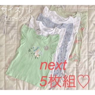 ネクスト(NEXT)の◆レア！next キッズTシャツ5枚組【タグ付き新品】サイズ116◆カットソー(Tシャツ/カットソー)