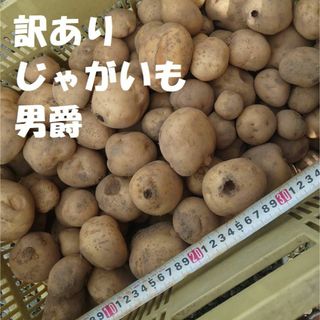 ★じゃがいも★男爵いも★訳あり★9キロ強程度★長野県産★値下げしました！★(野菜)