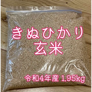 きぬひかり　新米　玄米　(米/穀物)