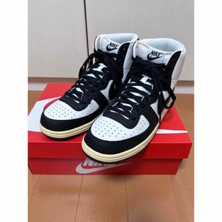 ナイキ(NIKE)のNike Terminator High "Black and Phantom"(スニーカー)