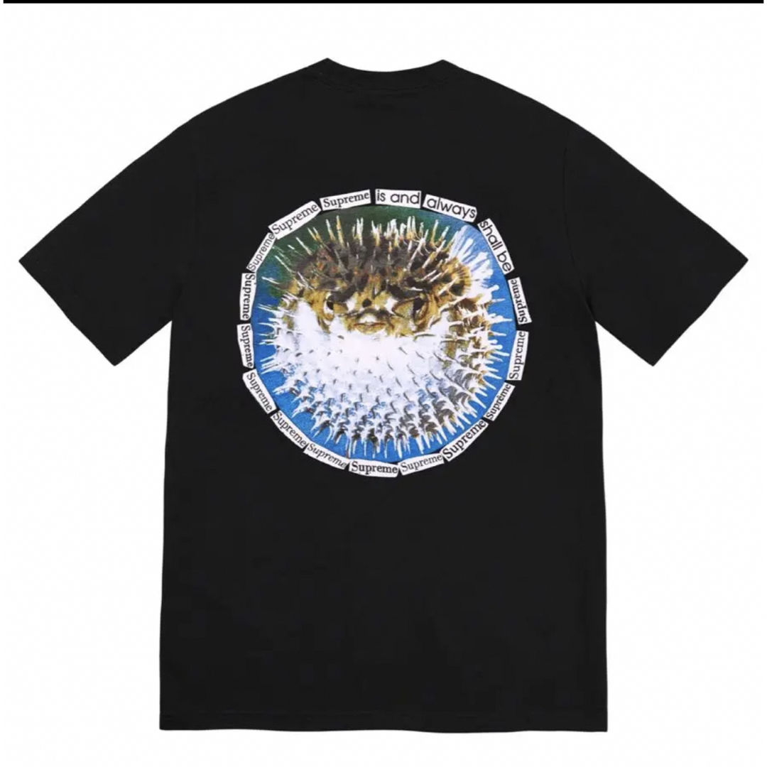 Supreme 23ss Blowfish Tee 黒 L 完売品 新品未使用Tシャツ/カットソー(半袖/袖なし)