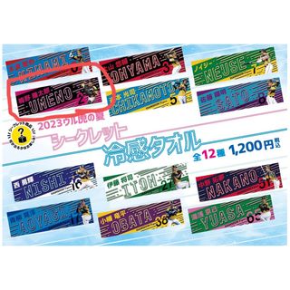 ハンシンタイガース(阪神タイガース)の【阪神タイガース】2023ウル虎の夏✨️シークレット冷感タオル✨️梅野選手(応援グッズ)