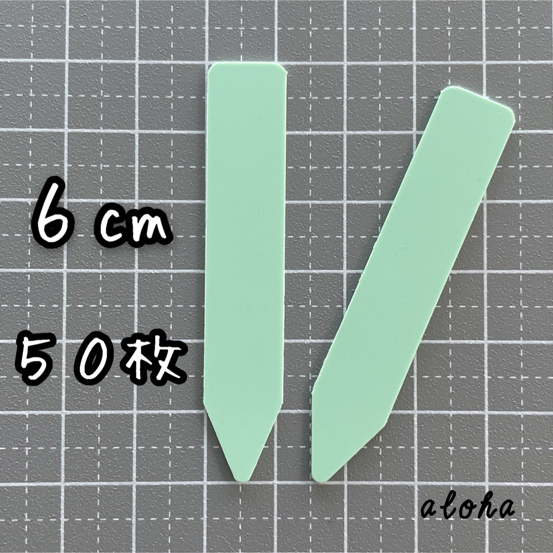 ミント　50枚 多肉植物 アガベ サボテンに◎ 園芸用 ラベル ネームラベル ハンドメイドのフラワー/ガーデン(その他)の商品写真