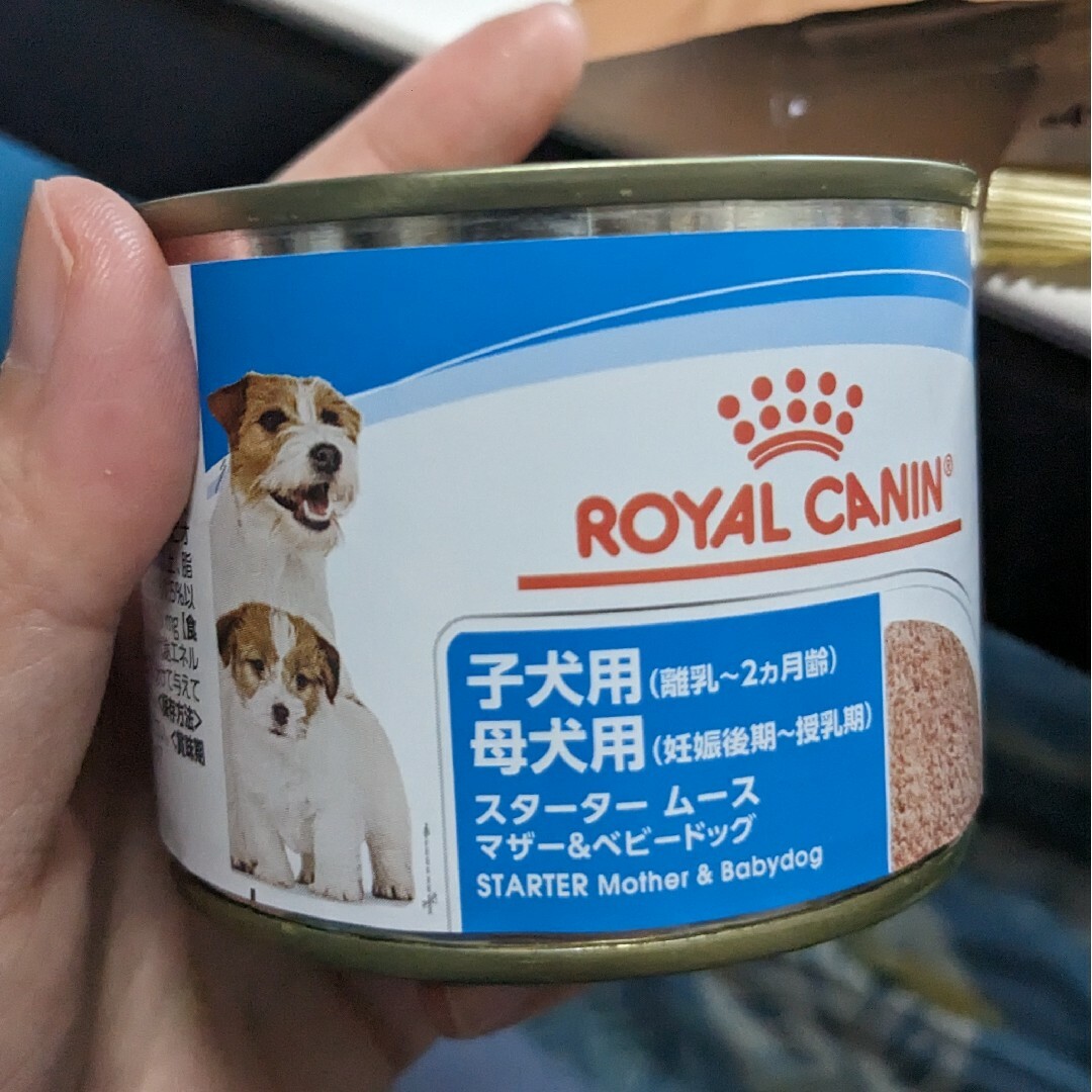ROYAL CANIN(ロイヤルカナン)の【お試し】ロイカナ 離乳食＆母犬用 缶詰 1個 その他のペット用品(犬)の商品写真
