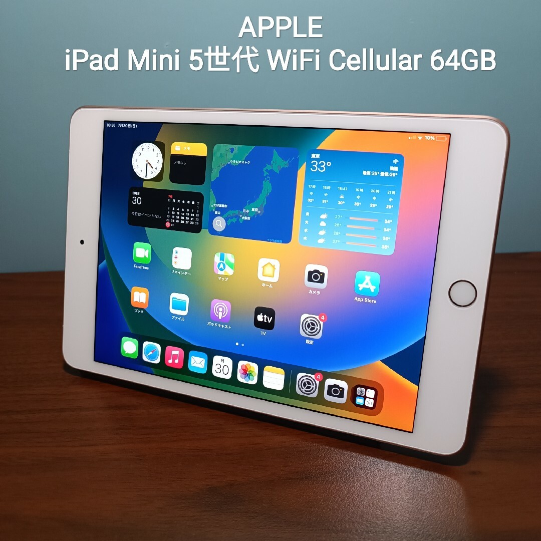 iPad mini 5 64GB wifi+cellular simフリー