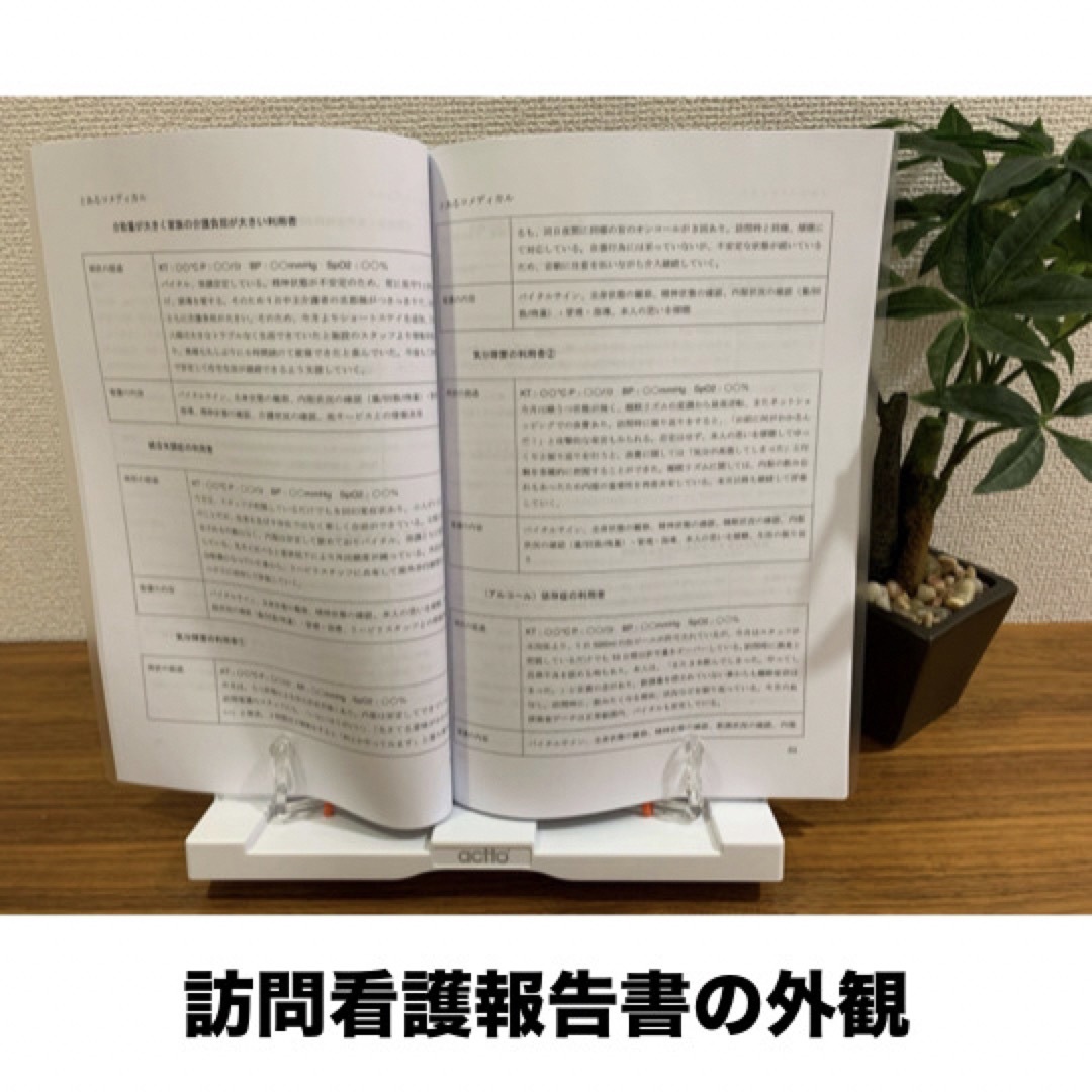 【３冊セット】訪問看護報告書・計画書のルールと記載例＋フィジカルアセスメント集 エンタメ/ホビーの本(語学/参考書)の商品写真