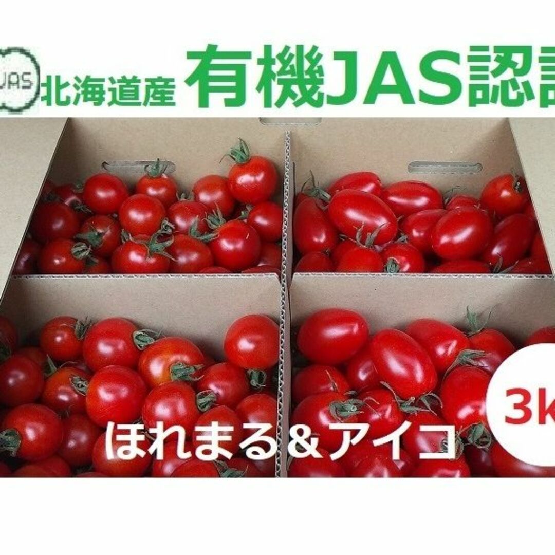 有機JAS 北海道産ミニトマト  (アイコ/ほれまる) セット 3kg