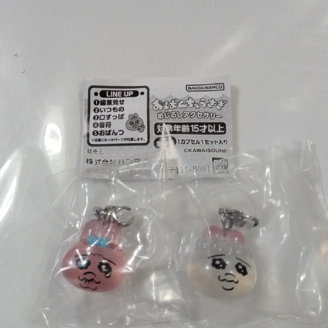ꕤ︎︎♪様専用ꕤ︎︎ おぱんちゅうさぎ めじるしアクセサリー | フリマアプリ ラクマ